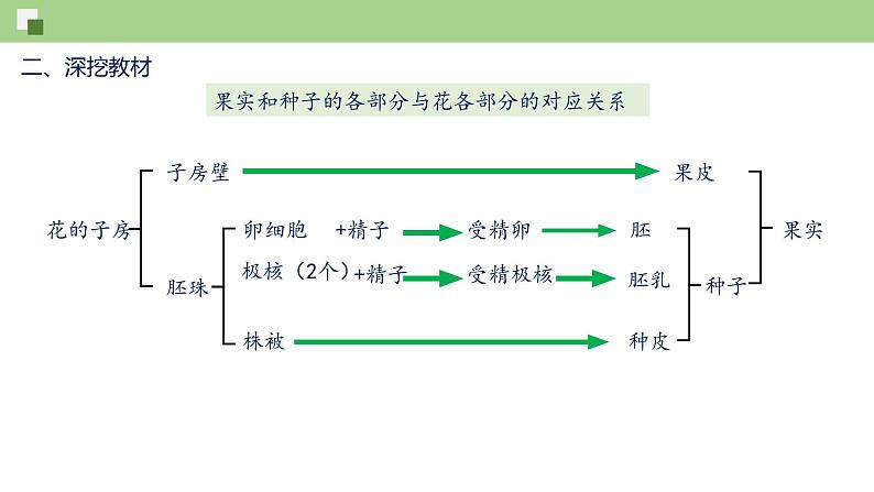 第七单元第1章 生物的生殖和发育（复习课件）——2022-2023学年人教版生物八年级下册单元综合复习第6页