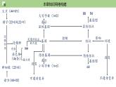 第七单元第2章 生物的遗传与变异（复习课件）- 2022-2023学年人教版生物八年级下册单元综合复习