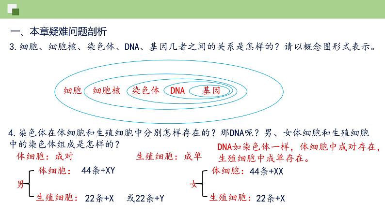 第七单元第2章 生物的遗传与变异（复习课件）- 2022-2023学年人教版生物八年级下册单元综合复习04