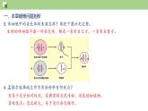第七单元第2章 生物的遗传与变异（复习课件）- 2022-2023学年人教版生物八年级下册单元综合复习