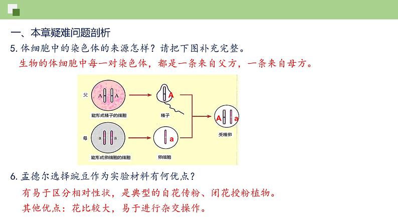 第七单元第2章 生物的遗传与变异（复习课件）- 2022-2023学年人教版生物八年级下册单元综合复习05