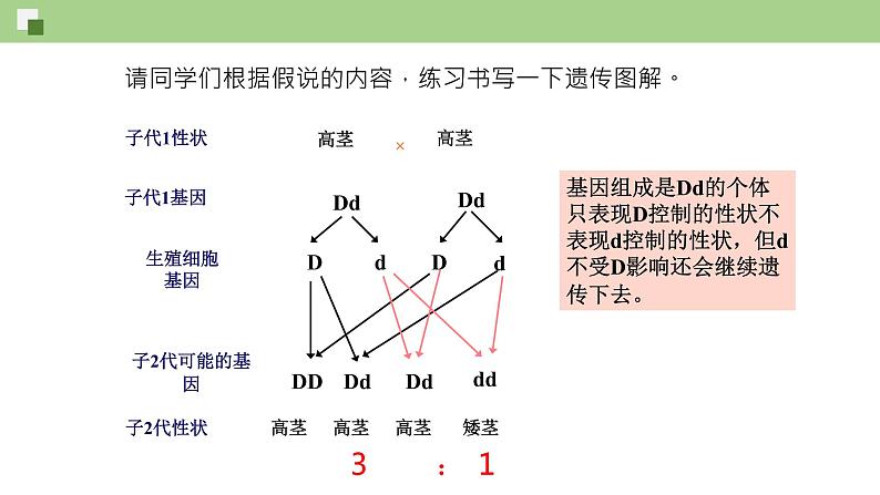 第七单元第2章 生物的遗传与变异（复习课件）- 2022-2023学年人教版生物八年级下册单元综合复习08