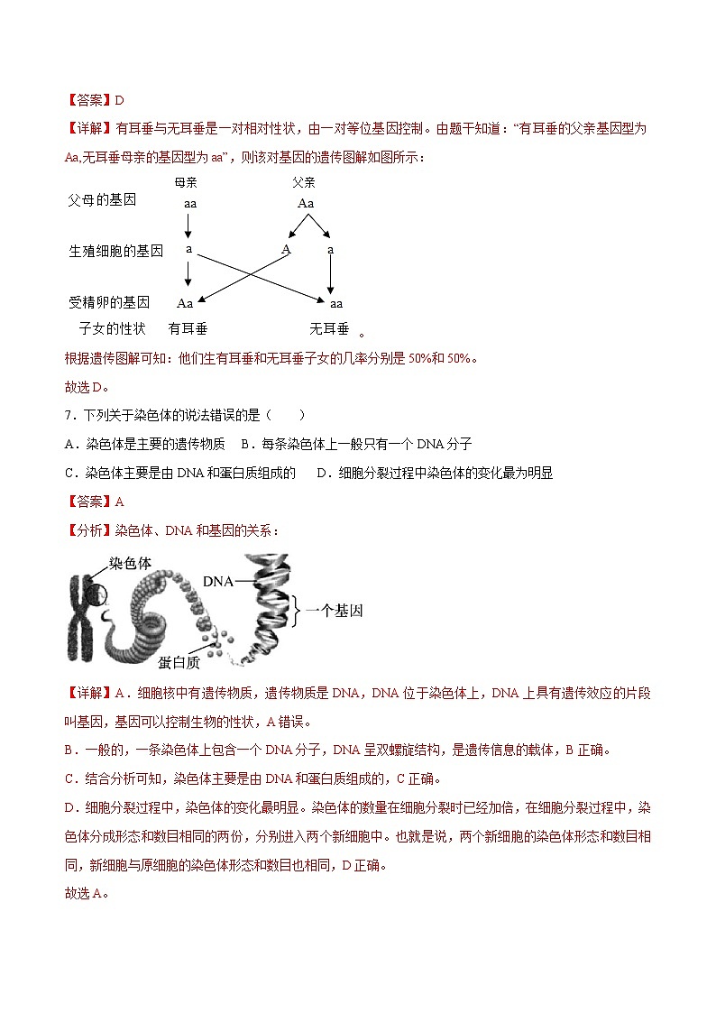第七单元第2章 生物的遗传和变异（测试卷）——2022-2023学年人教版生物八年级下册单元综合复习（原卷版+解析版）03