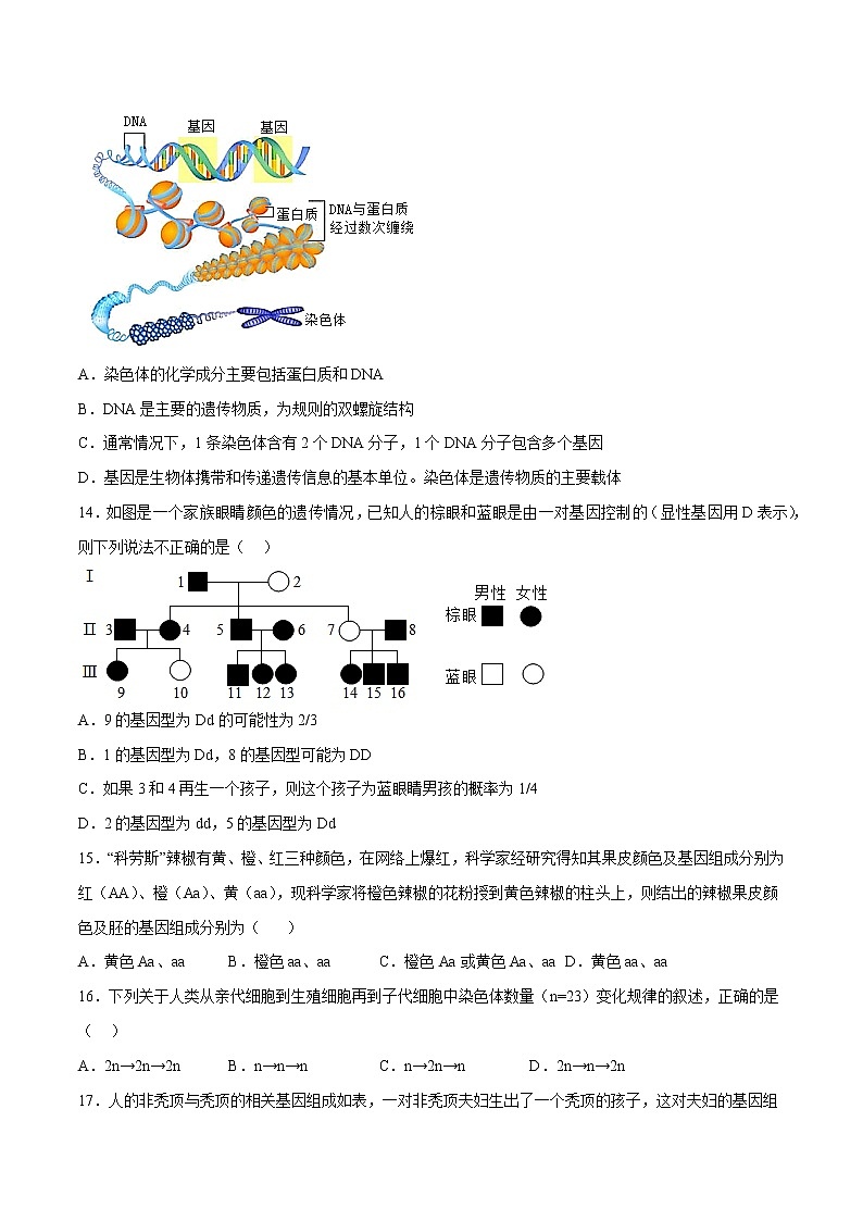 第七单元第2章 生物的遗传和变异（测试卷）——2022-2023学年人教版生物八年级下册单元综合复习（原卷版+解析版）03