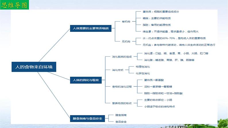 单元复习02 人的食物来自环境（复习课件）——2022-2023学年人教版生物七年级下册单元综合复习03