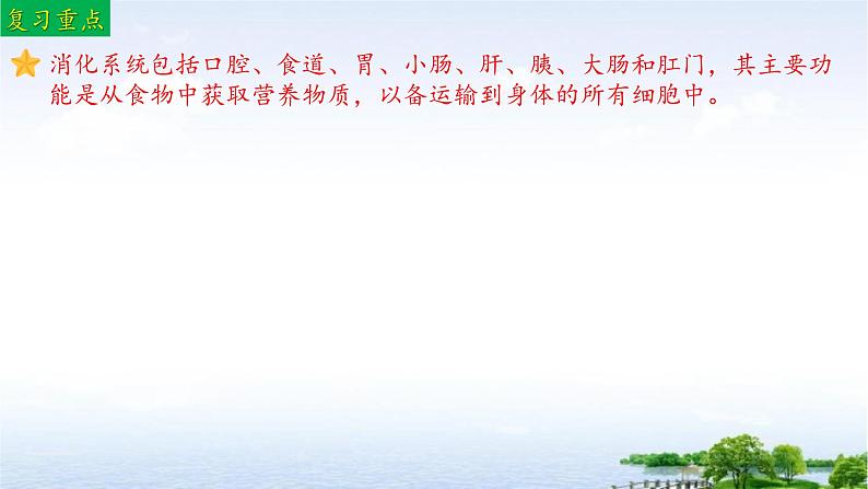 单元复习02 人的食物来自环境（复习课件）——2022-2023学年人教版生物七年级下册单元综合复习04