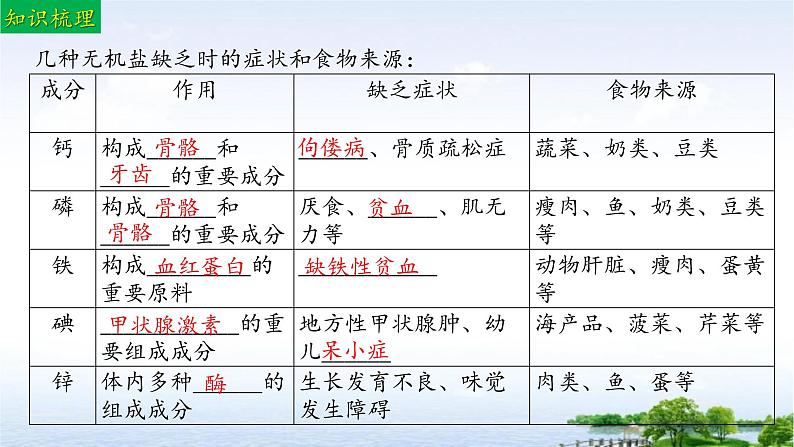 单元复习02 人的食物来自环境（复习课件）——2022-2023学年人教版生物七年级下册单元综合复习07