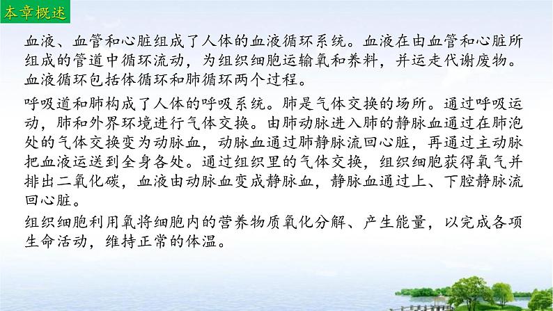 单元复习03 人体内的物质运输和能量供给（复习课件）——2022-2023学年度人教版生物七年级下册单元综合复习02