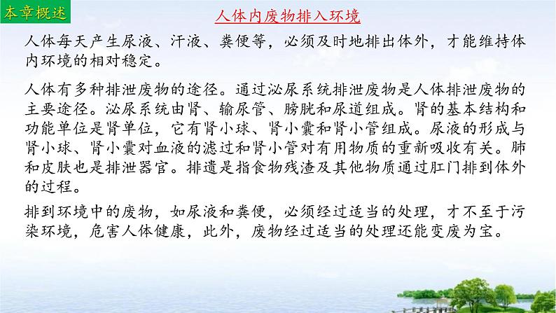 单元复习04 人体内废物排入环境（复习课件）——2022-2023学年人教版生物七年级下册单元综合复习02