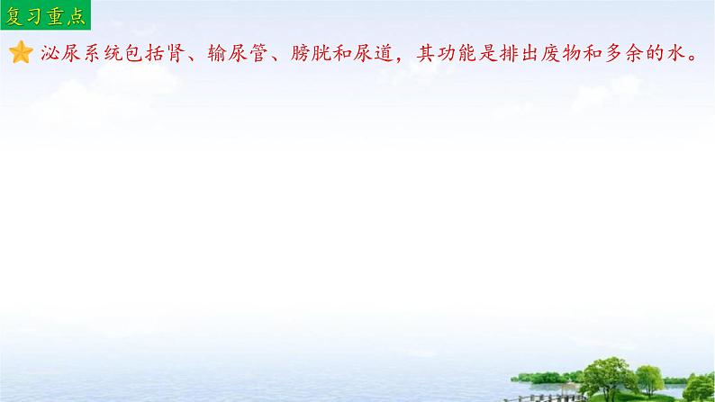 单元复习04 人体内废物排入环境（复习课件）——2022-2023学年人教版生物七年级下册单元综合复习04