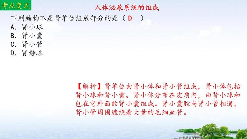 单元复习04 人体内废物排入环境（复习课件）——2022-2023学年人教版生物七年级下册单元综合复习08