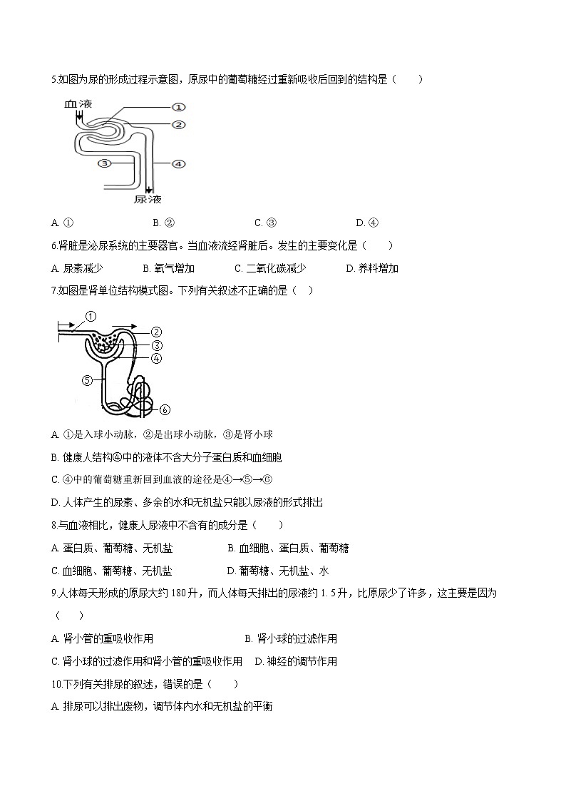单元复习04 人体内废物排入环境（单元检测卷）——2022-2023学年人教版生物七年级下册单元综合复习（原卷版+解析版）02