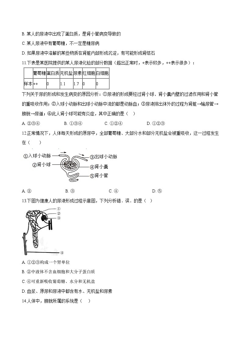 单元复习04 人体内废物排入环境（单元检测卷）——2022-2023学年人教版生物七年级下册单元综合复习（原卷版+解析版）03