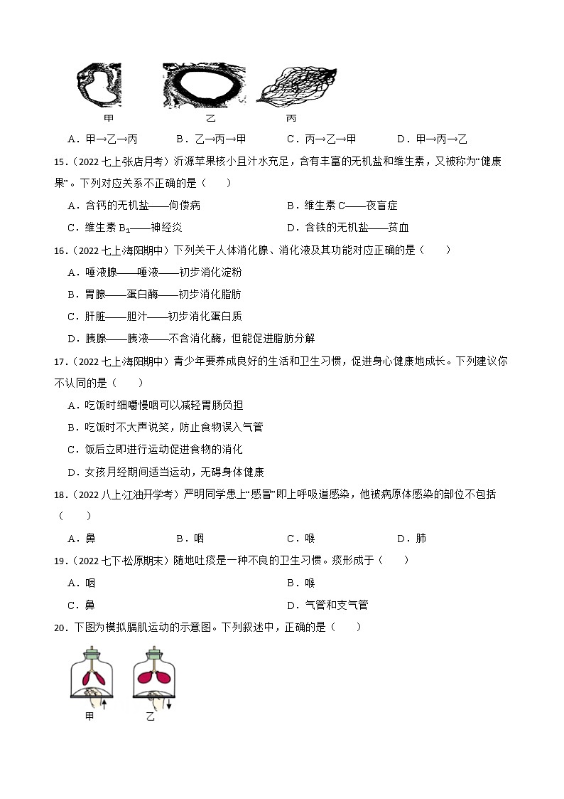 2022-2023年人教版生物学七年级下册期中模拟卷（教师版+学生版）03