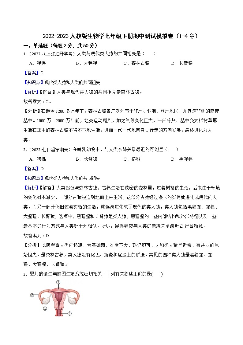 2022-2023年人教版生物学七年级下册期中模拟卷（教师版+学生版）01