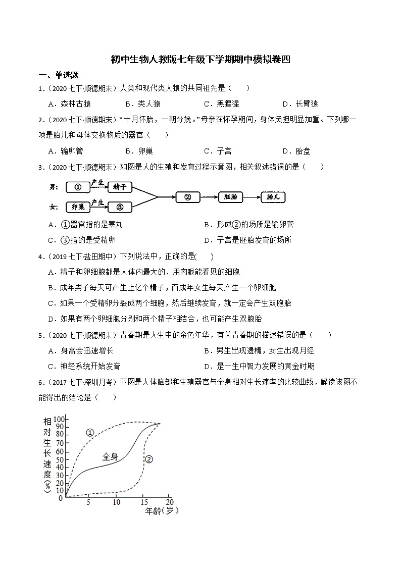 人教版生物七年级下册期中模拟卷（教师版+学生版）01