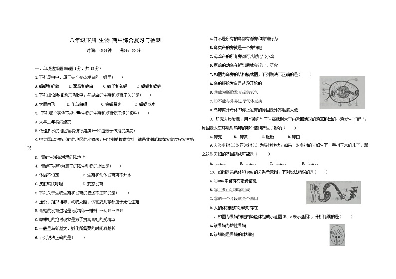人教版生物八年级下册期中模拟测试卷（三）（含答案）第1页