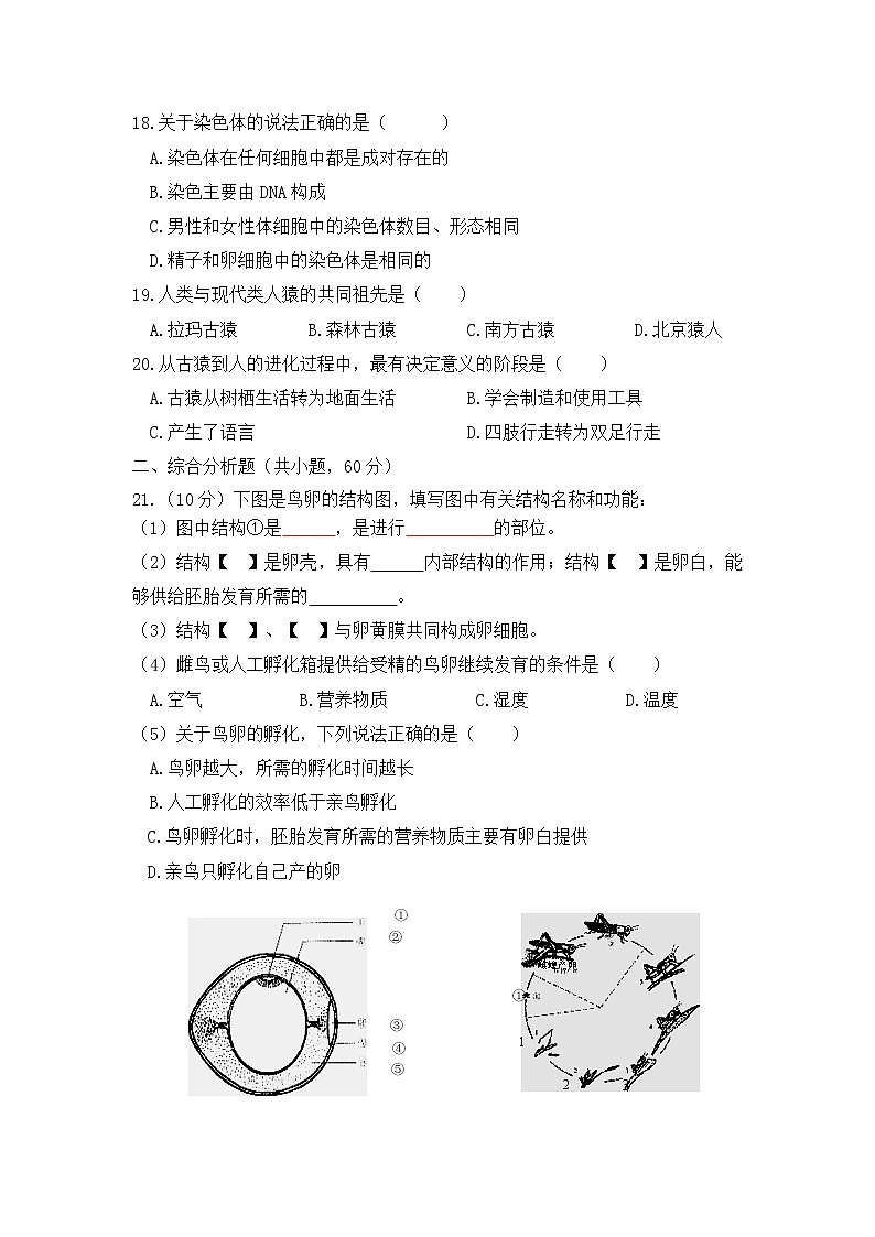 冀教版生物八年级下册期中模拟测试卷（二）（含答案）第3页