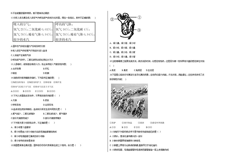 北师大版生物七年级下册期中模拟测试卷一（考试卷）第2页