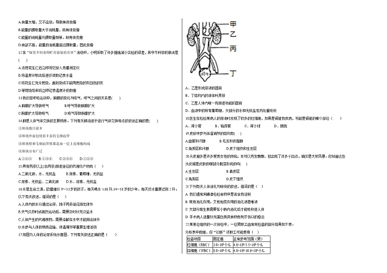 北师大版生物七年级下册期中模拟测试卷二（考试卷）第2页
