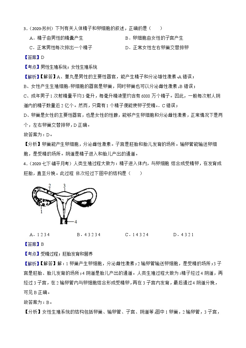 苏教版生物七年级下册期中模拟卷(教师版)第2页