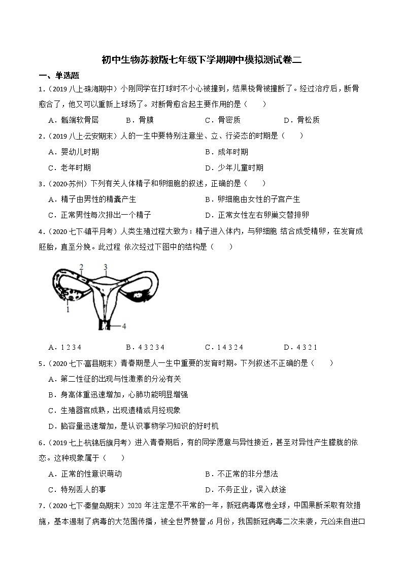 苏教版生物七年级下册期中模拟卷(学生版)第1页