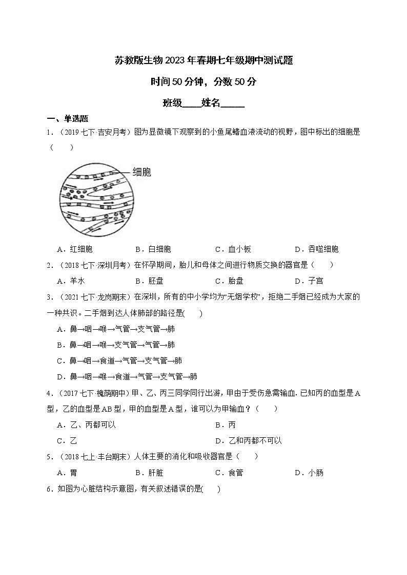 苏教版生物七年级下册期中测试卷1（含解析）第1页