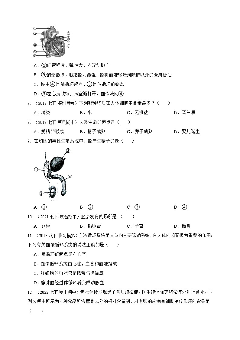 苏教版生物七年级下册期中测试卷1（含解析）第2页