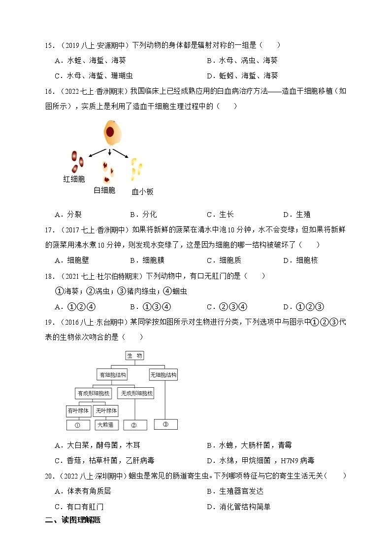 苏教版生物七年级下册期中测试卷2（含解析）03