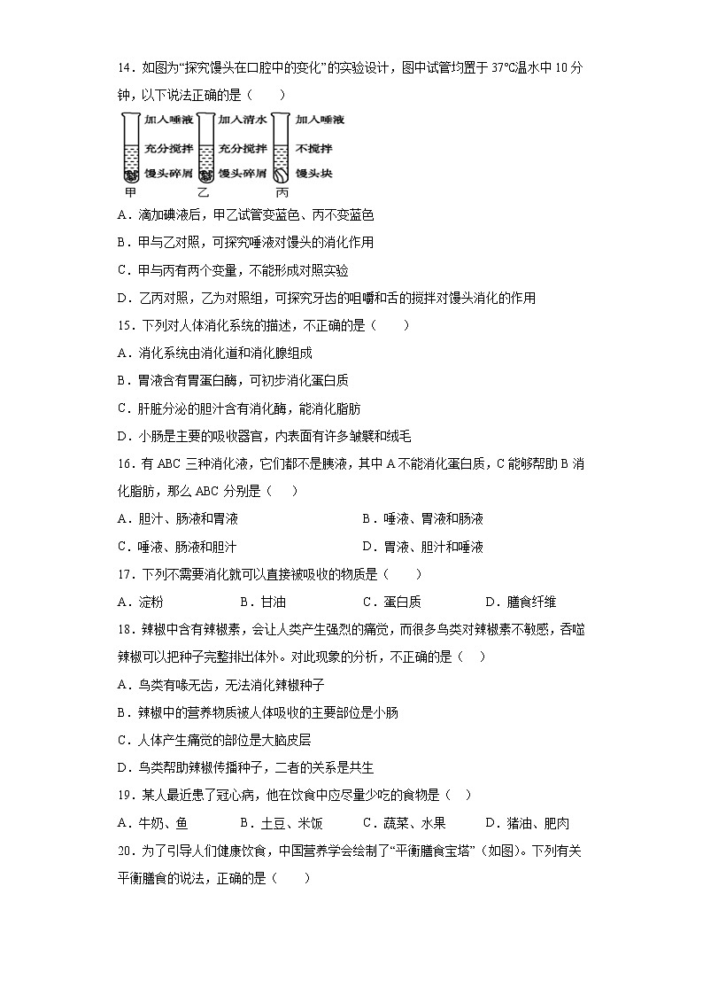 七年级下册生物期中考试押题卷Ⅱ（学生版+教师版）03