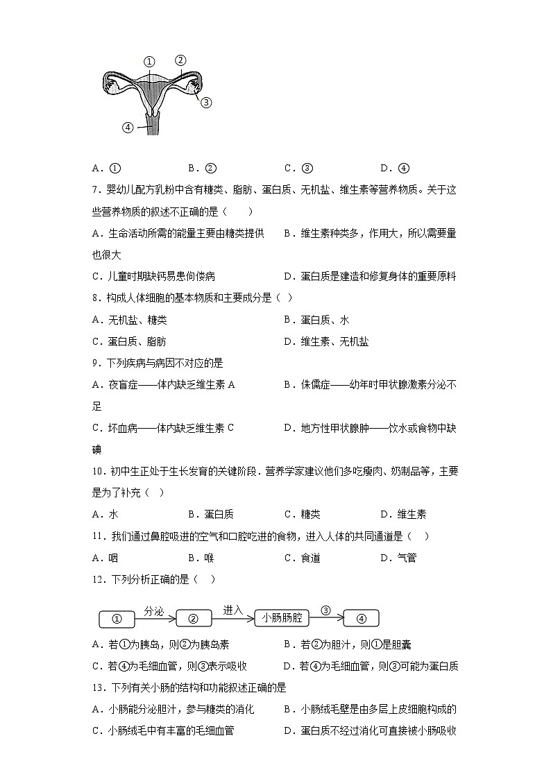 七年级下册生物期中考试押题卷Ⅱ（学生版+教师版）02