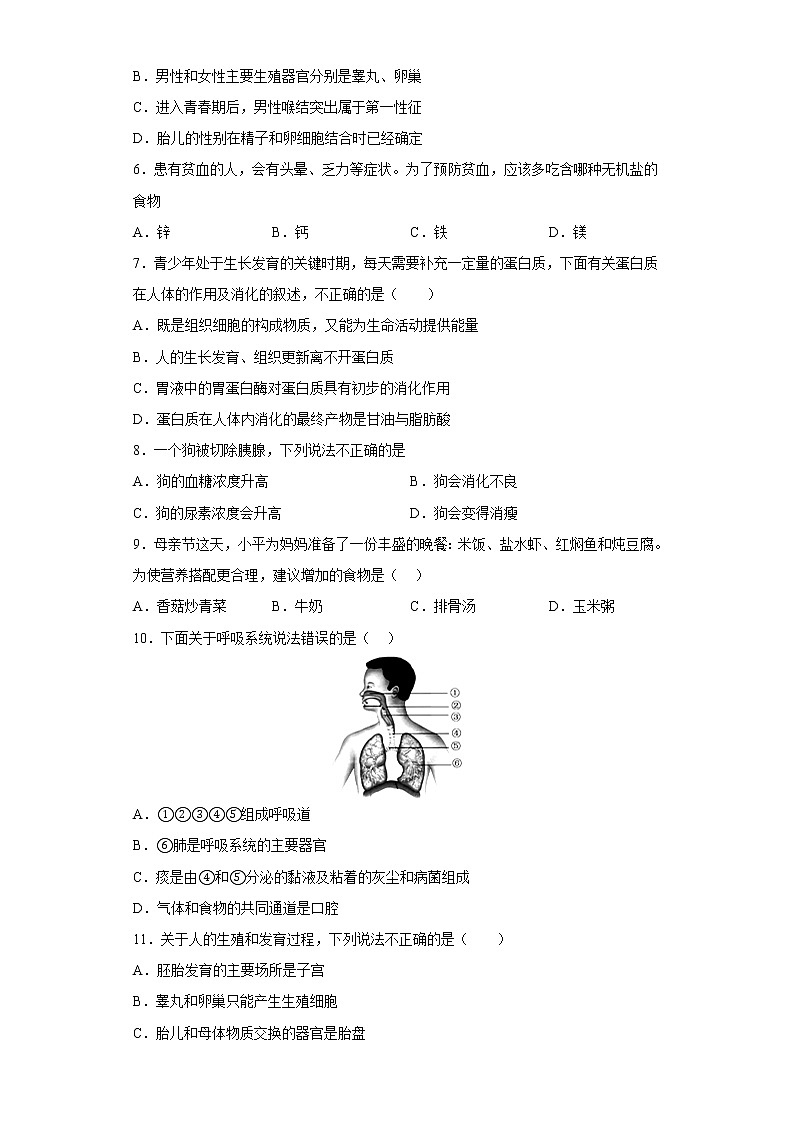 七年级下册生物期中考试考前必刷卷Ⅱ（学生版+教师版）02