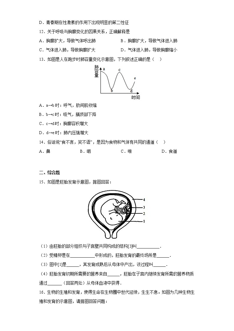 七年级下册生物期中考试考前必刷卷Ⅱ（学生版+教师版）03