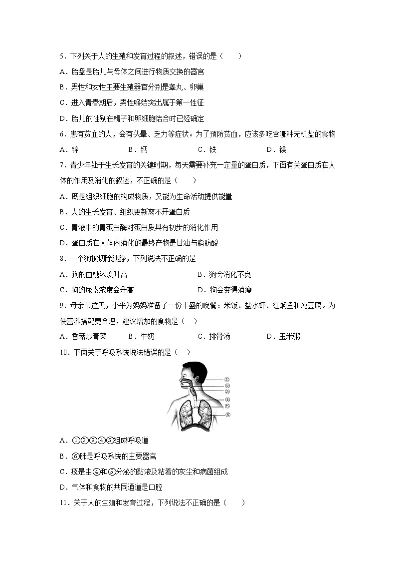 七年级下册生物期中考试考前必刷卷Ⅱ（学生版+教师版）02