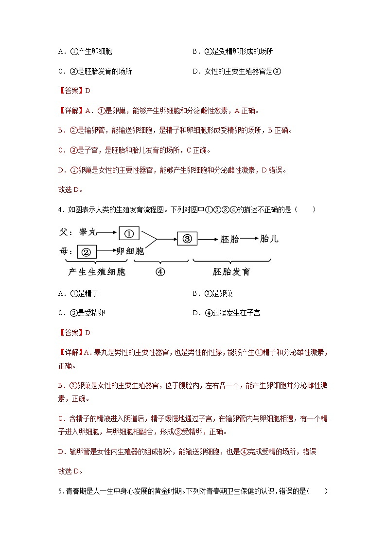 选择题专练04 生物圈中的人（30题）（解析版）第3页