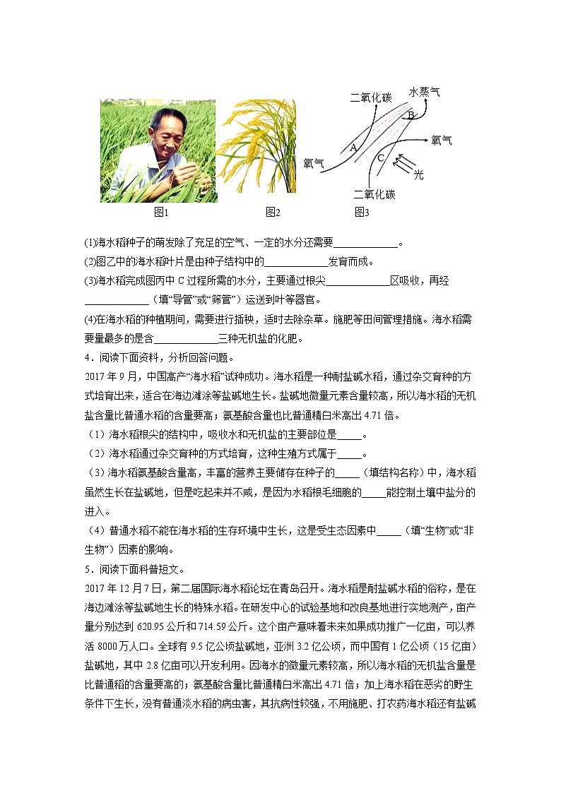 专练14 材料分析（50题）（原卷版）第3页