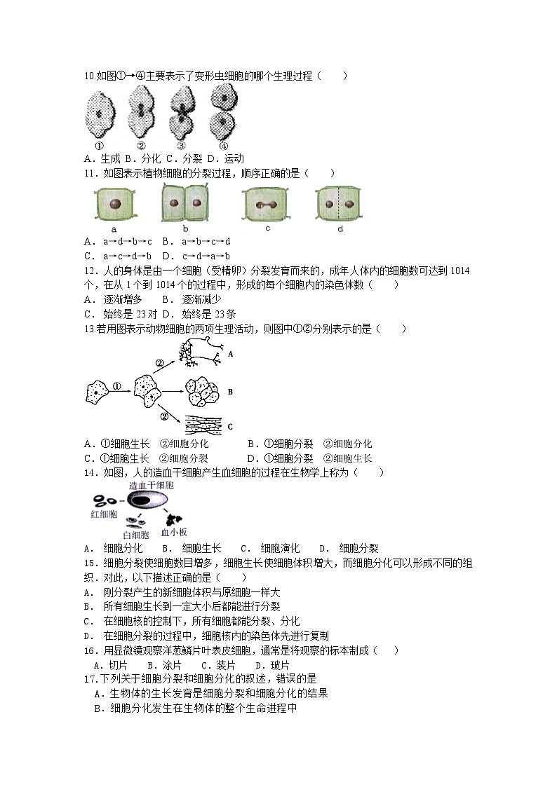 初中生物苏科版七年级下学期同步检测试题：第8章 生物体有相同的基本结构 检测题（含答案）02