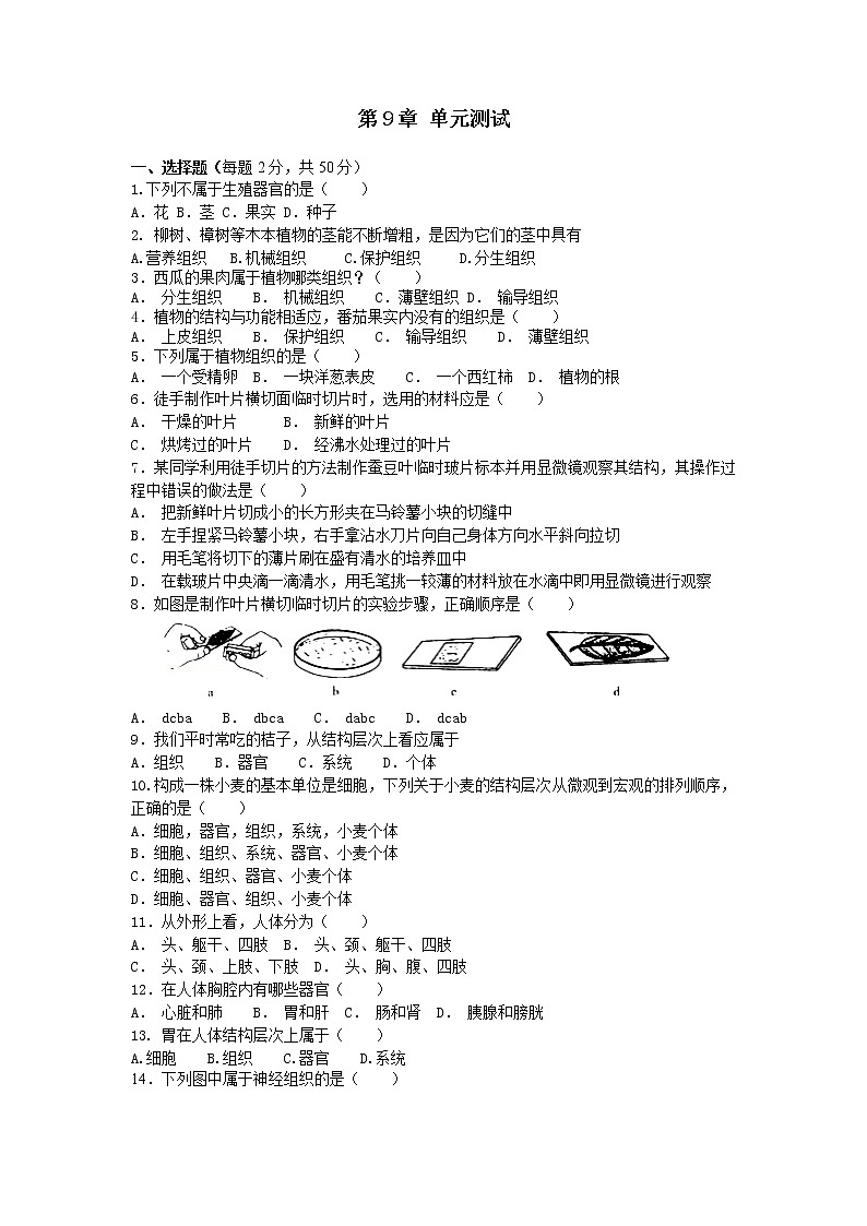 初中生物苏科版七年级下学期同步检测试题：第9章 生物体有相似的结构层次 检测题（含答案）01