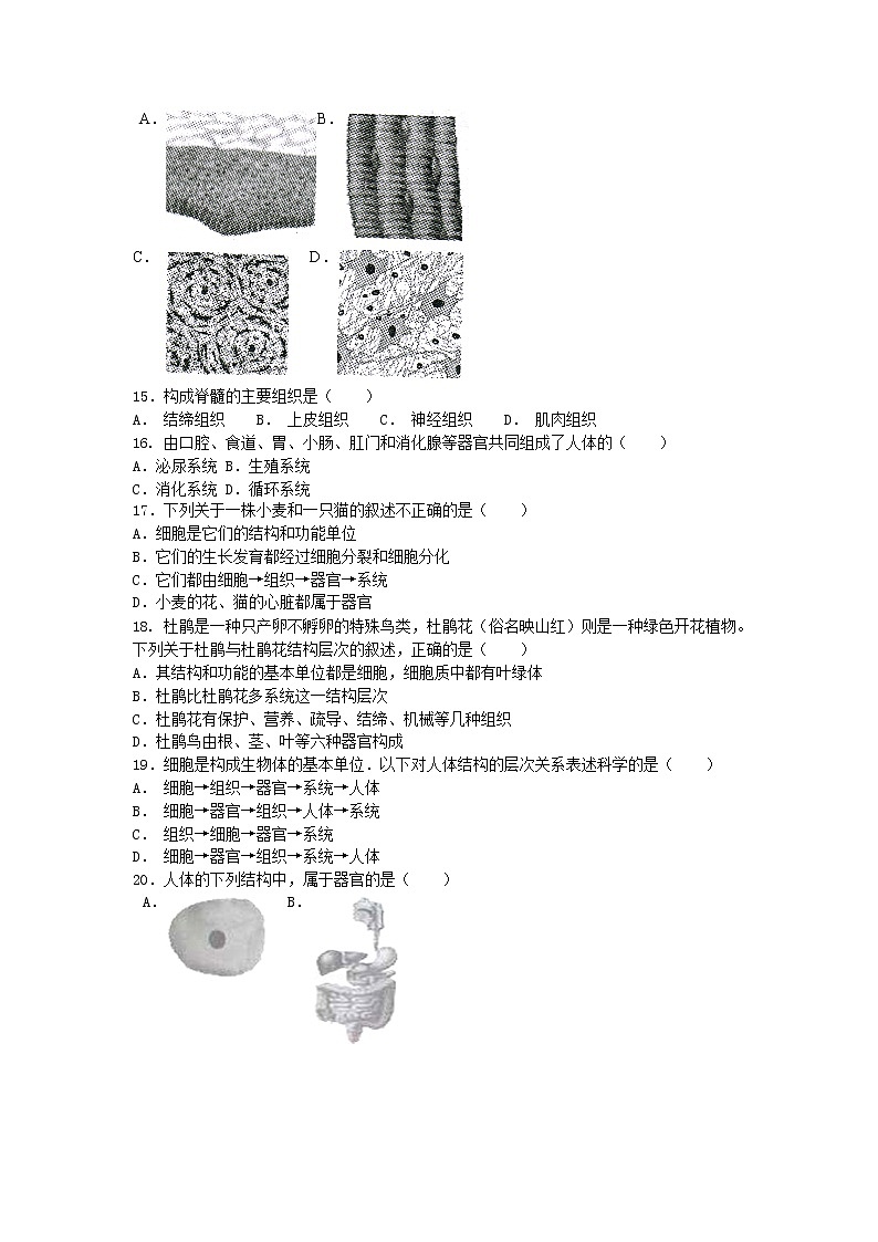 初中生物苏科版七年级下学期同步检测试题：第9章 生物体有相似的结构层次 检测题（含答案）02