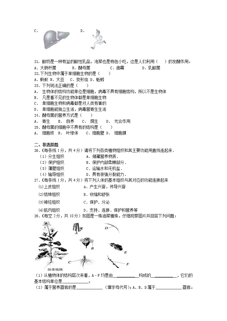 初中生物苏科版七年级下学期同步检测试题：第9章 生物体有相似的结构层次 检测题（含答案）03