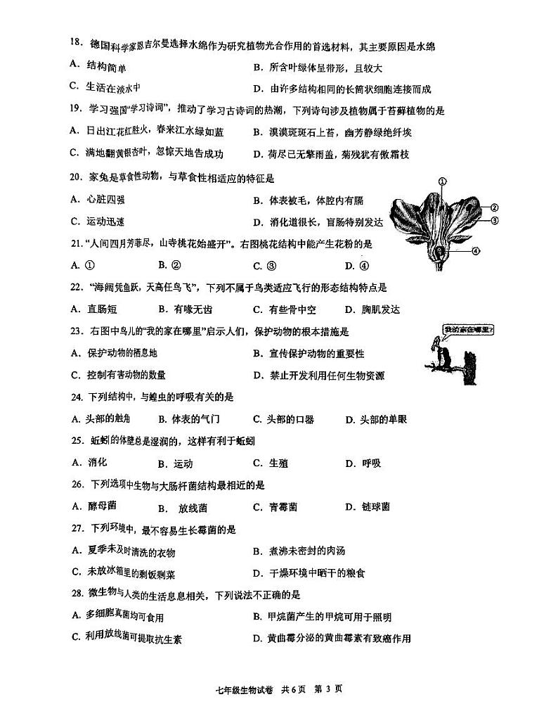 江苏省泰州市兴化市2022-2023学年七年级下学期期中生物试题03