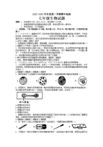 江苏省徐州市沛县2022-2023学年七年级下学期期中考试生物试题