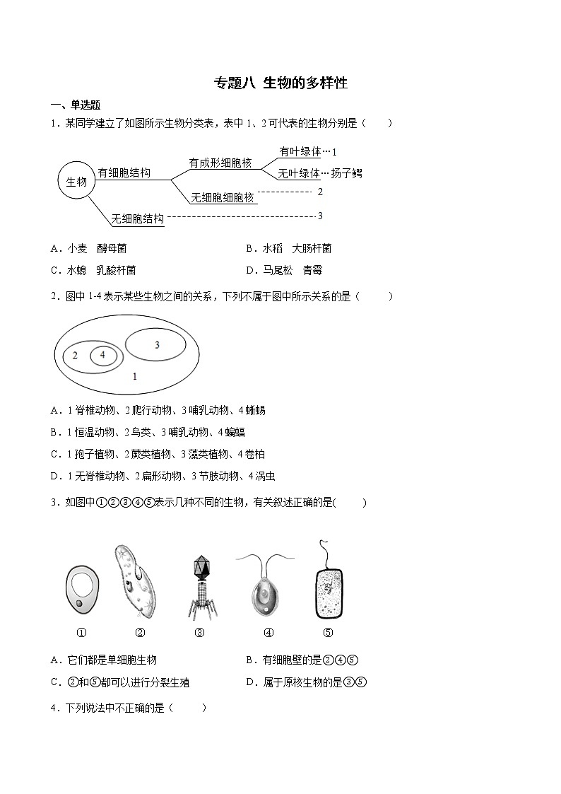 初中生物中考复习 专题08 生物的多样性（综合提分练）-【过专题】2022年中考生物二轮精准高效复习（原卷版）第1页