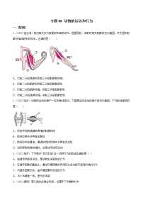 初中生物中考复习 专题08 动物的运动和行为-2022年中考生物真题分项汇编 （全国通用）（原卷版）