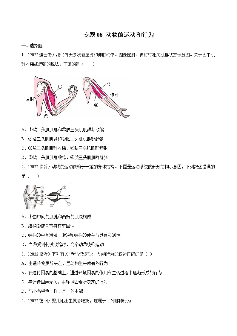 初中生物中考复习 专题08 动物的运动和行为-2022年中考生物真题分项汇编 （全国通用）（原卷版）01