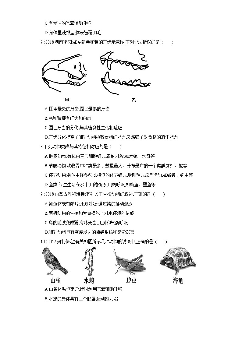 初中生物中考复习 专题15 动物的主要类群（练习）（原卷版）第2页