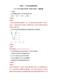 初中生物中考复习 专题13 人体内废物的排出（练习）（解析版）