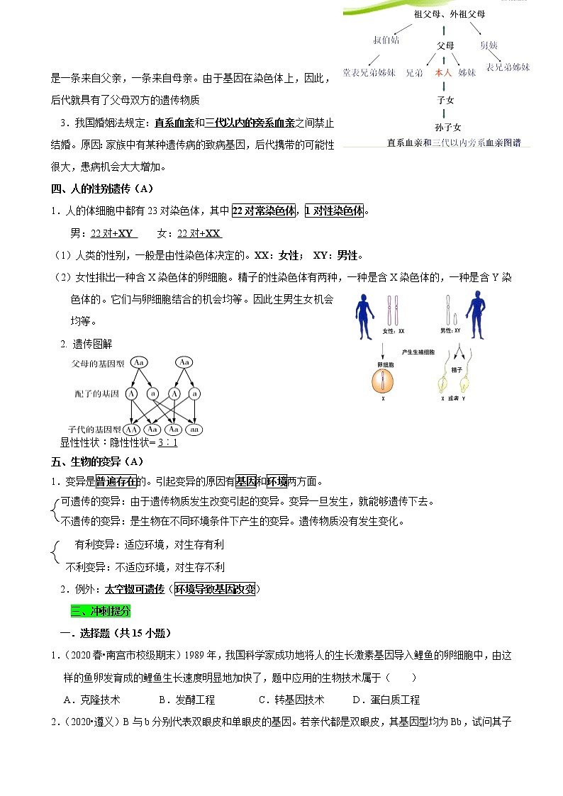 初中生物中考复习 专题16 生物的遗传和变异（原卷版）第3页