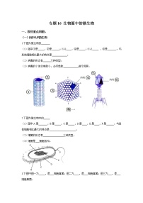 初中生物中考复习 专题16 生物圈中的微生物（原卷版）