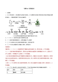 初中生物中考复习 专题14 生物技术-三年（2020-2022）中考生物真题分项汇编（全国通用）（解析版）